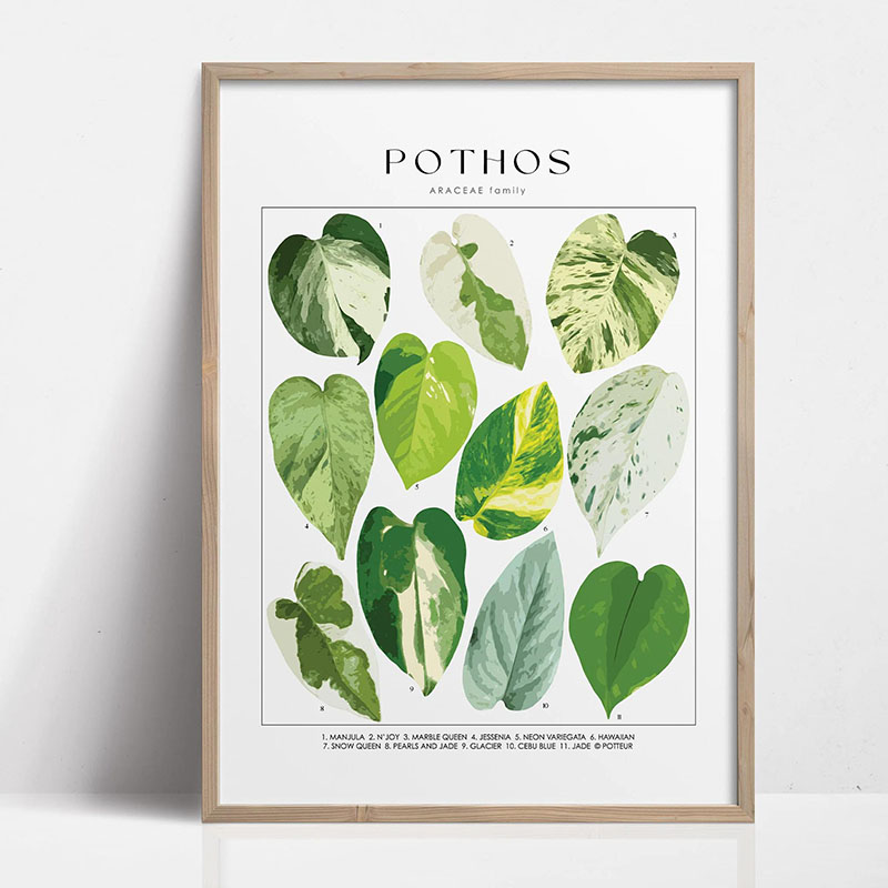 1pc Modern Houseplants Leaves  - Home Office Youtube ulasan dan harga