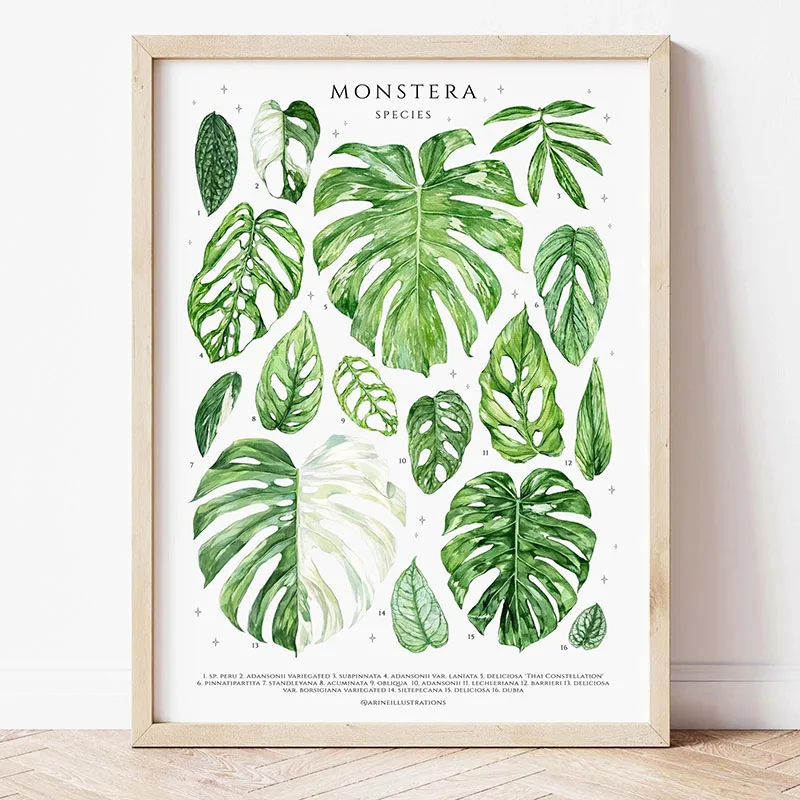 1pc Modern Houseplants Leaves  - Home Office Youtube ulasan dan harga