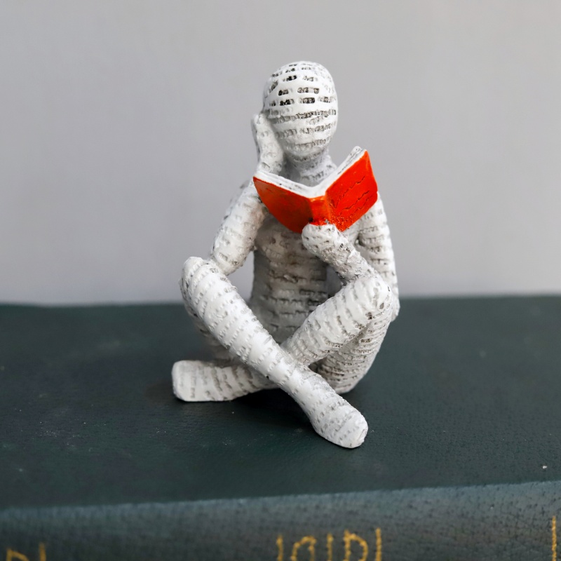 1Pc, Reading Paper Pulp Woman  - Home Office With Bookshelves ulasan dan harga